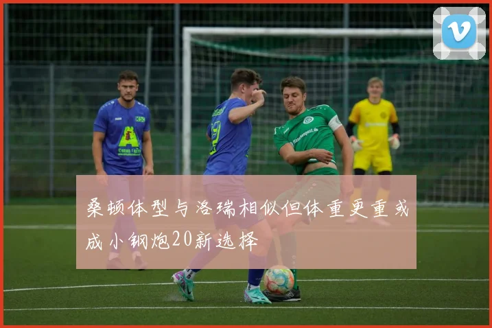 桑顿体型与洛瑞相似但体重更重或成小钢炮20新选择